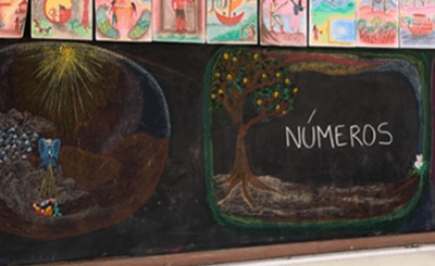 Ensino Fundamental – Escola Paineiras